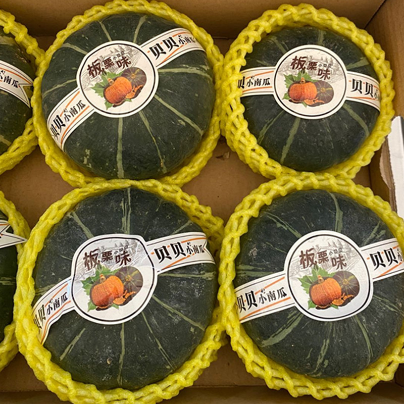 Seasonal new products Japanese Beibei pumpkin chestnut flavor waxy sweet baby food original box 5-6 4 5 pounds