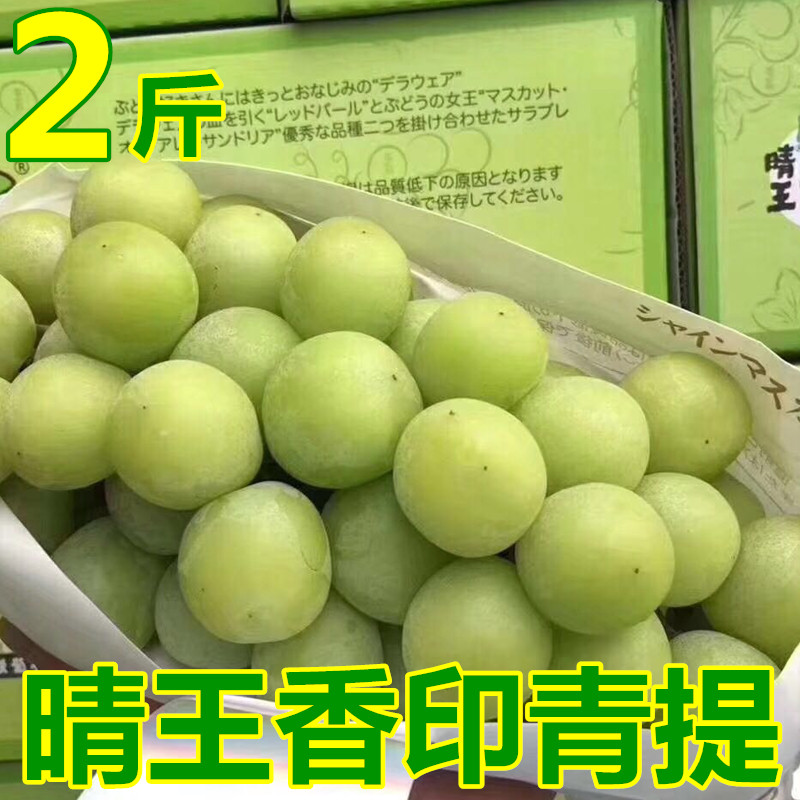 Newly listed Clear King Grape 2 Jin incense Green Japanese Variety Sunshine Rose Grape Fresh Fruit