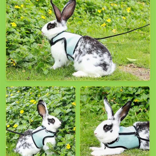 JESSIE/洁西 Пояс сцепления кролика/Взять веревку/веревку кролика Несколько дополнительных общенациональных бесплатных доставки больше