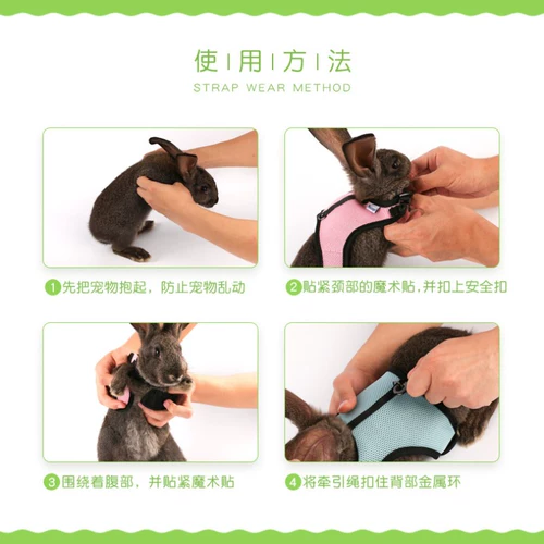 JESSIE/洁西 Пояс сцепления кролика/Взять веревку/веревку кролика Несколько дополнительных общенациональных бесплатных доставки больше