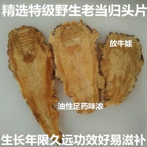 纯天然特级野生当归头片500克顺丰包邮无硫熏精选野当归头王切片