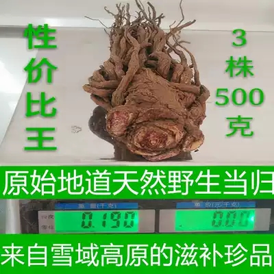Plateau old Chinese medicine mining special selection of sulfur-free wild angelica slices grinding powder with wild Codonopsis Astragalus