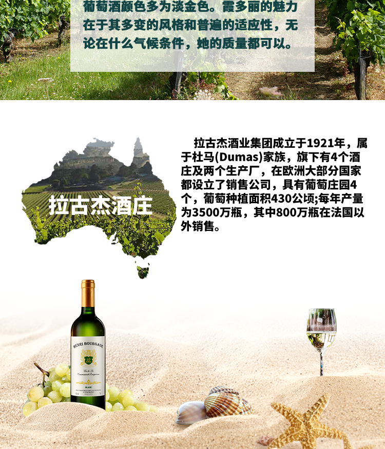 斑鹏（官网）.png
