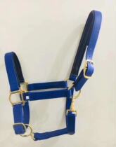 Bridle head training bridle head Big head Small Malone head Anti-wear faucet Special Malone head