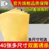 Double-sided armyworm board Yellow board trap blue board paper paste yellow flying insect small black fly stick fruit fly trap sticky board Household