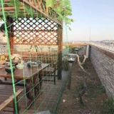 Растение лазания на виноградные лозы посадка сетка фруктов Paixiang Специальная сеть огурца бобового рога виноградный сад сад