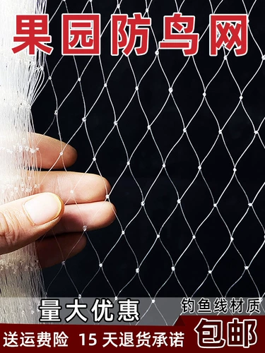 Анти -бирд -садовый фруктовый дерево вишневый дерево виноградный виноградный зеленый сара