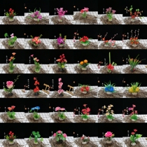 Hotel sashimi set plate decoration flower and grass artistic conception plate decoration set meal sushi platter creative plate head embellishment small ornaments