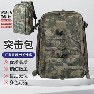 P19s einzelne trainingstasche tarnung taktischer rucksack exp2z-1 neuer taktischer angriffsrucksack mit großer kapazität