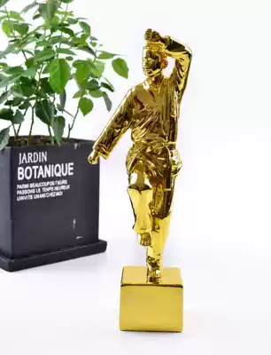 China Martial Arts Industry Person of the Year trophy