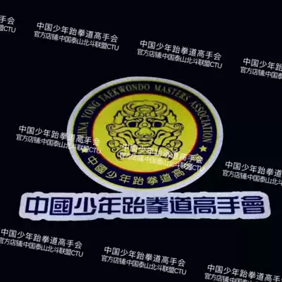 Chinese juvenile taekwondo master will car stickers