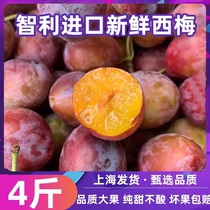 Spot Australia Imports Chile Simmee 4 Catty Fresh Fruit Should Season Plum Pregnant Woman Fruit Baby Covets