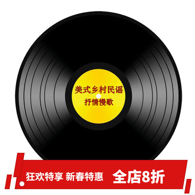 12 inch Vinyl Record LP American Pure Country Folk 5 Lyrical Songs and more 