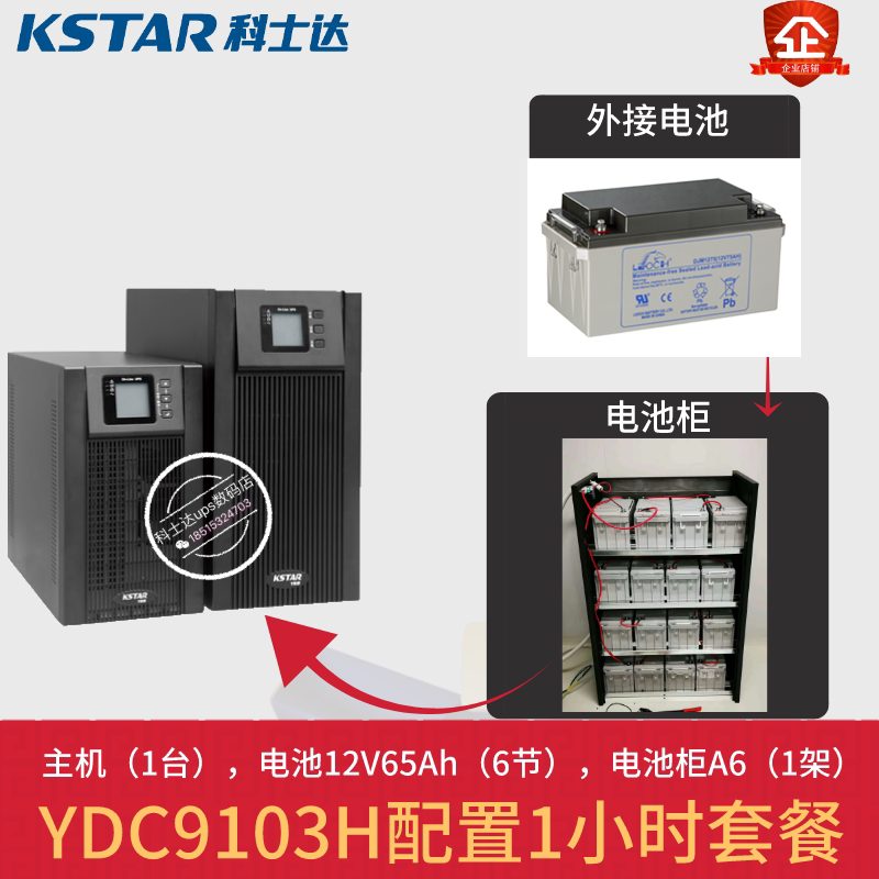 Costda UPS Power YDC9103H-B 1 hour package with 12V65Ah battery