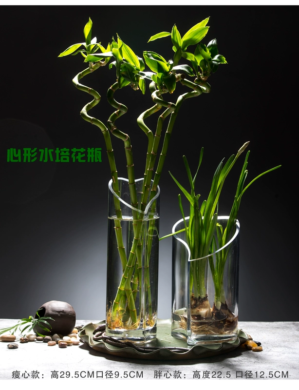 Bình thủy tinh phong phú tre thủy canh cây thủy tinh hoa bình cắm hoa cắm hoa hồng xanh trang trí đồ gốm - Vase / Bồn hoa & Kệ