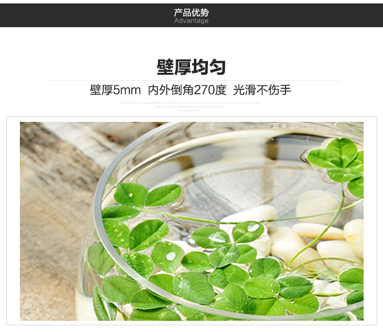 Bình thủy tinh trong suốt phong phú tre thủy canh chậu hoa kích thước lớn thì là màu xanh lá cây trang trí phòng khách châu Âu - Vase / Bồn hoa & Kệ chậu gốm trồng cây