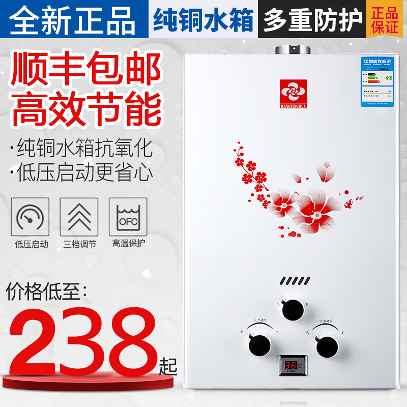 Home Gas Water Heater Liquefied Gas Smoke Duct Type Battery gas instant bath natural gas Low pressure start-Taobao