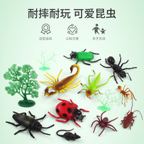 Children Insect Toy Plastic Simulation Animal Model Suit Early Teaching Cognition Soft Gum Spider centipede Ant-piece