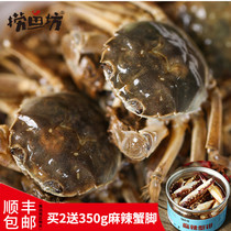 Luoyufang Drunken Hairy crab Fresh live crab Marinated drunken crab sauce Xiangsheng Drunk River crab Ready-to-eat Xiangshan Specialty