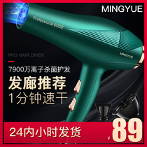 Electric hair dryer household high-power hair salon Barber Shop hair stylist special negative ion hair care non-silent air blower