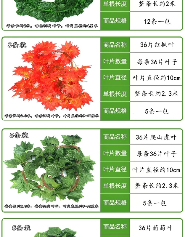 Mô phỏng mây hoa nho giả hoa nho nho lá xanh lá cây xanh lá cây nhựa trần trang trí hoa - Hoa nhân tạo / Cây / Trái cây