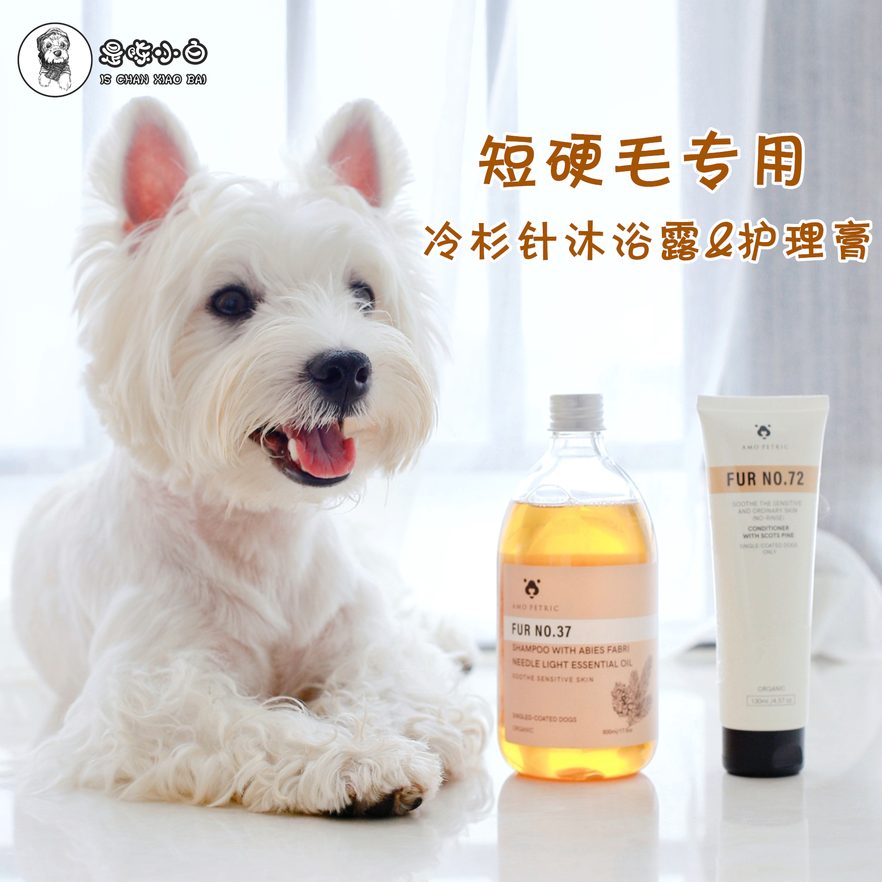 Danish Amo Petric fir needle light-weight essential oil shower gel hair conditioning cream Teddy for short hard-haired dogs