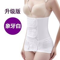 Цвет слоновой кости