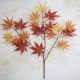 Mô phỏng chi nhánh trang trí Lá phong đỏ cành lá paulownia lá giả kỹ thuật lá nhựa hoa khô cành cây xanh - Hoa nhân tạo / Cây / Trái cây cây giả