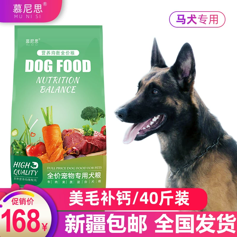 Chó chó đặc biệt chó trưởng thành chó con chó thức ăn chó 20kg40 pounds 1-2-3 tháng chó chó chăn cừu Bỉ Tân Cương - Chó Staples