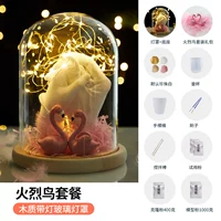 Модель пары рук - Flamingo - Пакет теплая лампа, дайте пробный порошок + инструменты