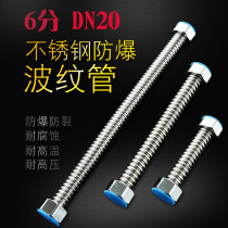 6 points 304 stainless steel bellows DN20 water heater floor heating wall hanging furnace hot and cold inlet pipe Metal hose Explosion-proof