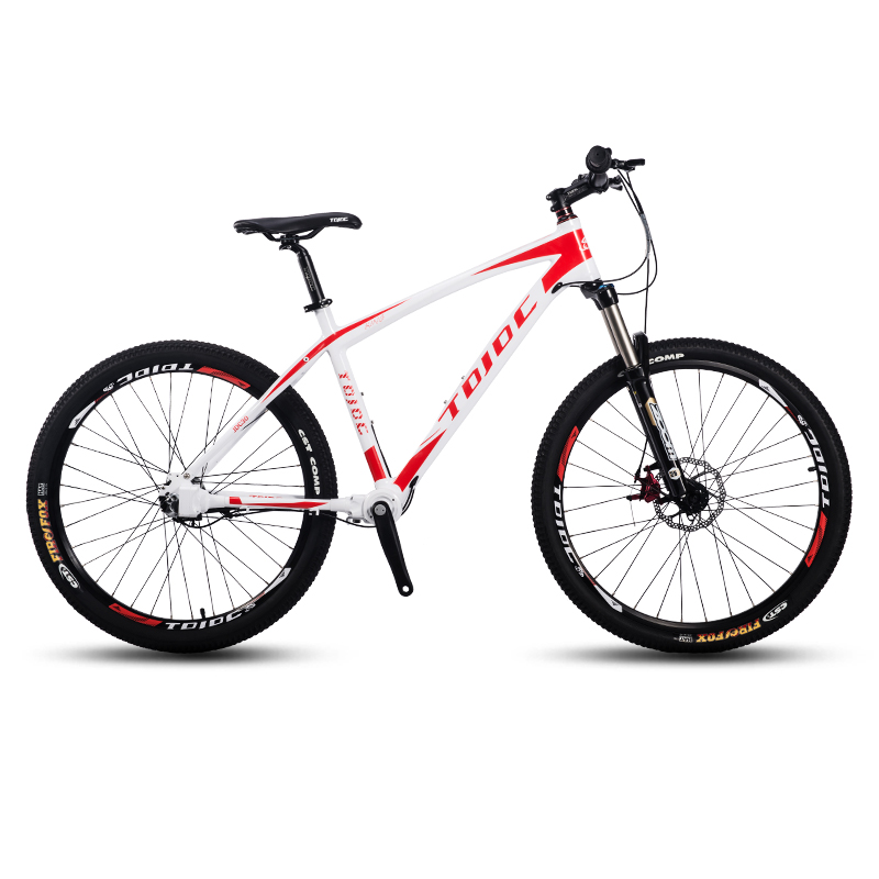 chainless mountain bike