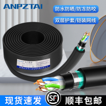 Anpu anti-rat-biting steel strip iron sheet outdoor engineering grade pure oxygen-free copper core Category 5e and Category 6e armored network cable