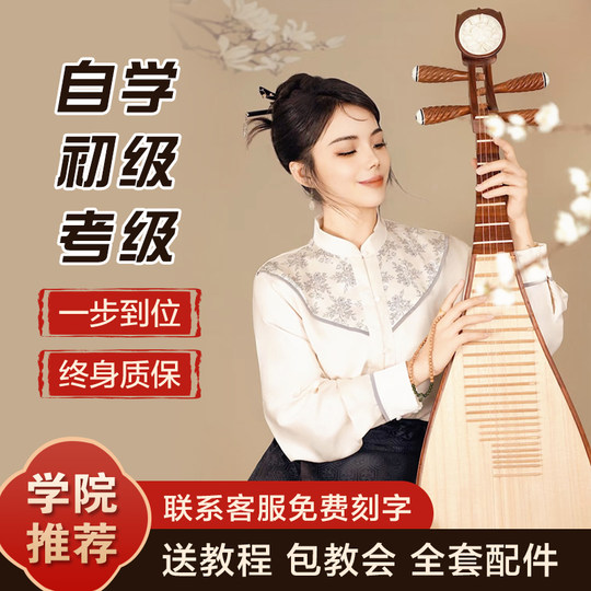 琵琶乐器酸枝木成人初学专业考级演奏级琵琶琴老红木大叶紫檀琴