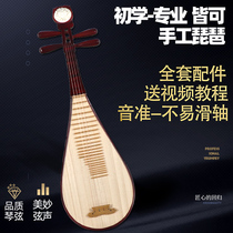 Pipa musical instrument beginner introduction Adult children play mahogany pipa piano play national musical instrument Rosewood exam