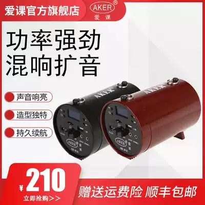 AKER love class AK38X(Y) multi-function loudspeaker singing machine mixer effect good entertainment morning exercise erhu