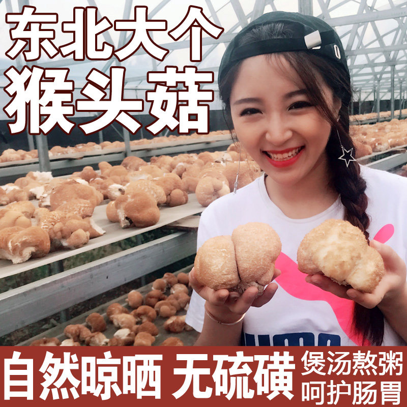 Northeast wild stomach-nourishing authentic mountain Hericium erinaceus fungus mushrooms a large farmhouse specialty dry goods new product 200g