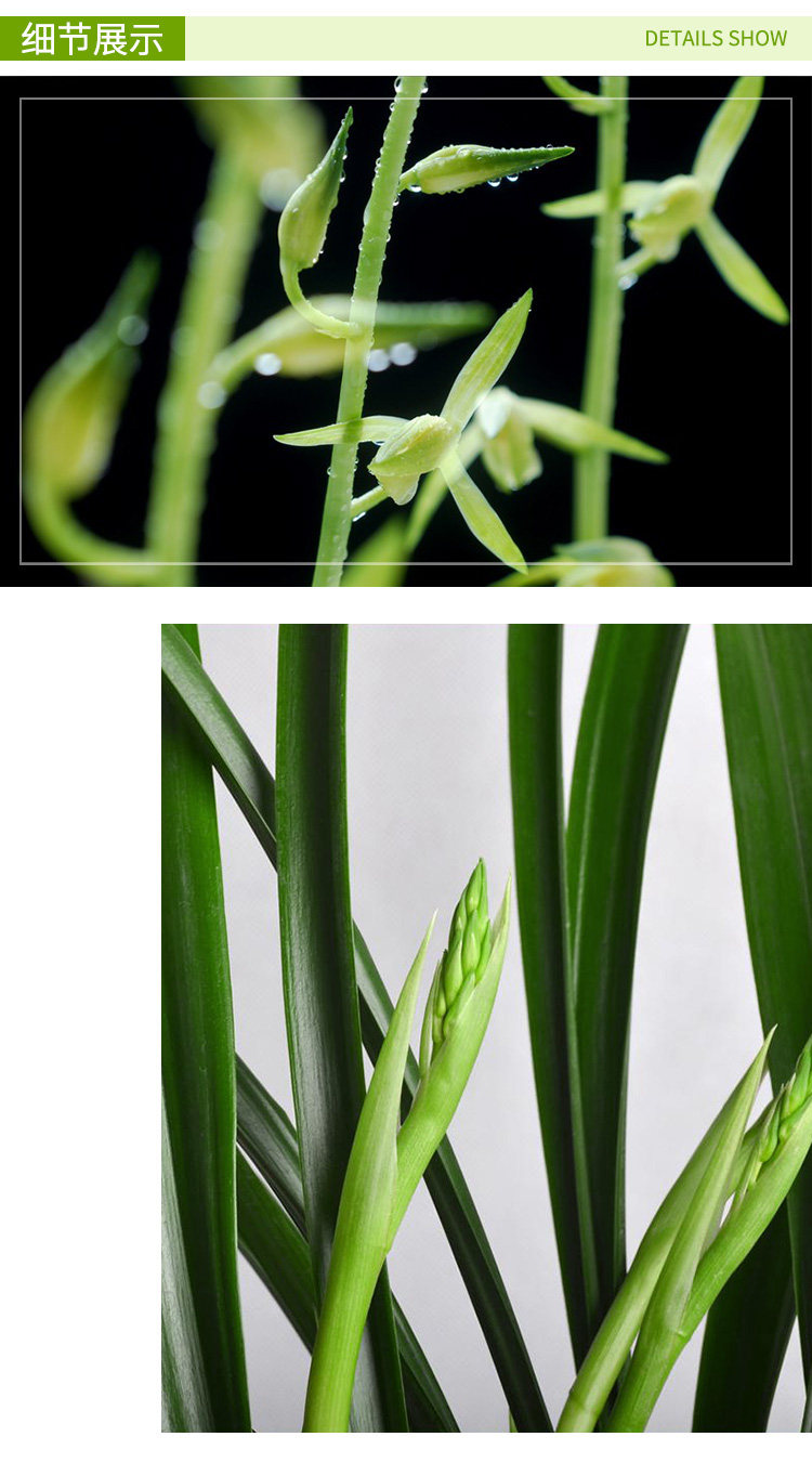 Белые чернила белые детали издания Page_03.jpg