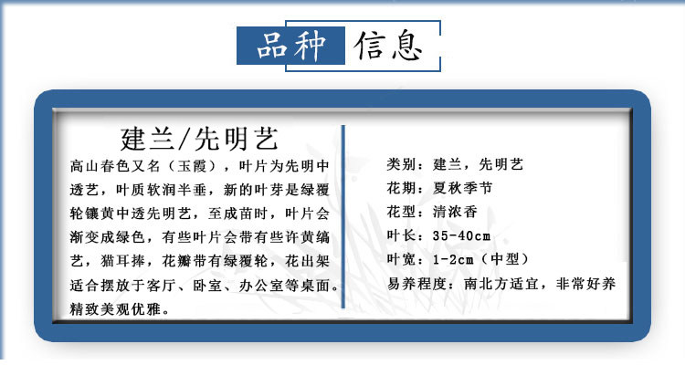 Весенние пейзажи горы_02.jpg