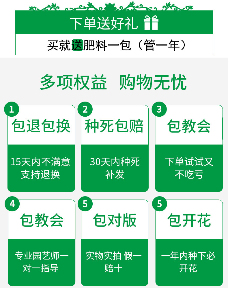 Капитал (1) .jpg