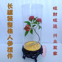 Acrylic long tube with branches and leaves whole plant ginseng ornaments shop decoration gift handicraft