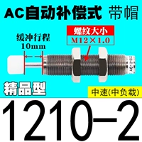 Бутик автоматический компенсационный тип AC1210-2 [Caps]