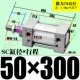 ZSC50*300-S с магнитом