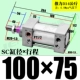 ZSC100*75-S с магнитным