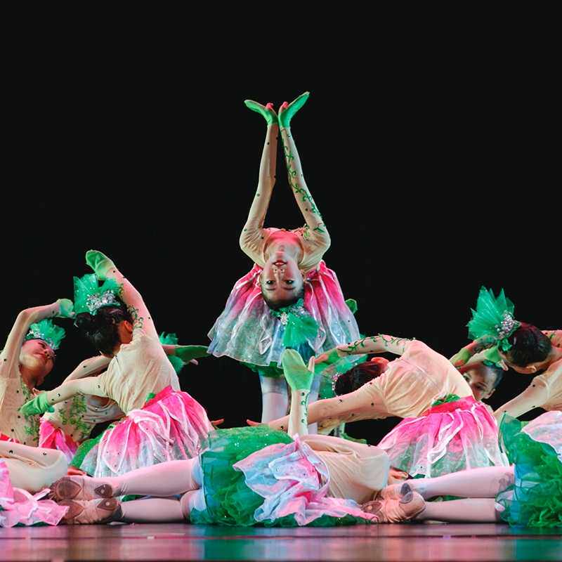 Xiaohe style Xiaocao's sky costume children's jasmine green tutu skirt children Taohuashan dance costume