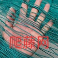 九龙网业