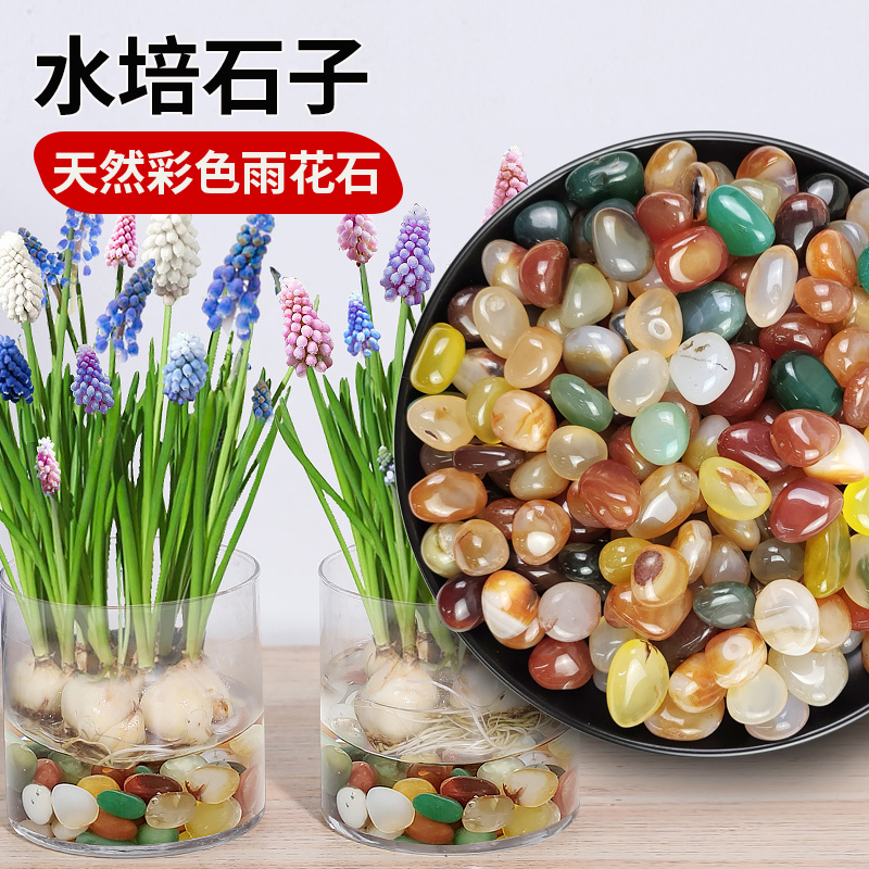 Natural Raindrop Stones, Pebbles, Pennywort, Bowl Lotus, Tulip, Hydroponic Stone Plants, Decorative Colored Stones
