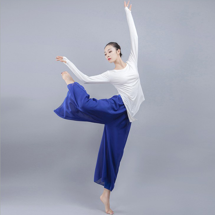 Modern dance practice clothes female modal irregular sleeve finger long-sleeved classical dance Latin dance performance costume