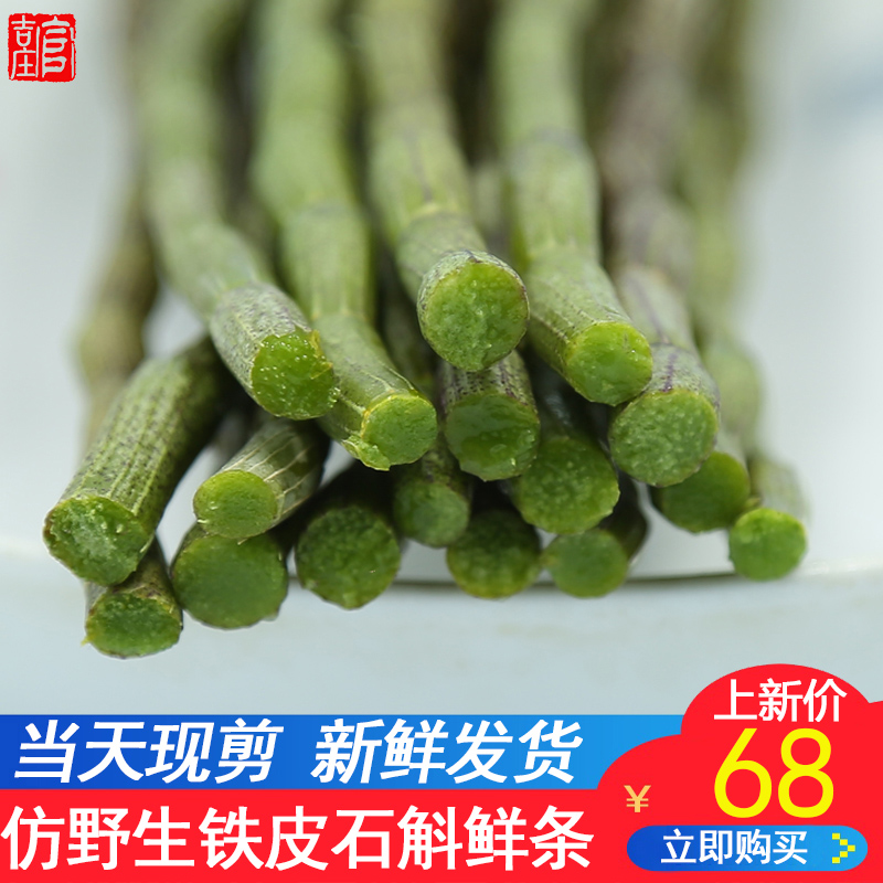 68 yuan 1 kg Of Yandang Mountain fresh Dendrobium officinale official fresh strip 500g flagship store is now picking maple dou tea