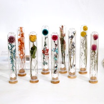 Dried flower bottle sealed dried flower permanent flower glass test tube plant specimen birthday gift wishing bottle hipster pendulum